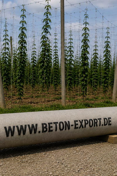 Beton-Export Hopfenanlage